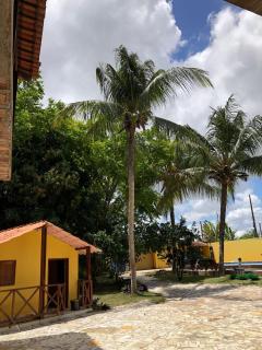 Chácara para Aluguel Ideal para Eventos, Finais de Semana e Momentos em Família! - 4