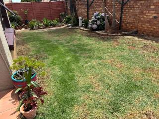 The Tranquil Golden Retreat - 9