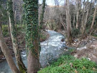 Villa Eleni Meskla - 4