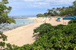 The Beach Nook at Turtle Bay - 6