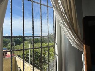 Diseño oaxaqueño contemporáneo en Etla - 3