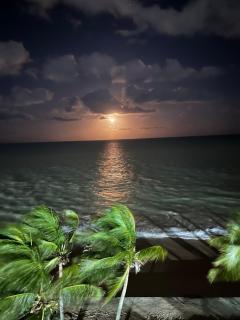 Cobertura pé na areia com piscina exclusiva única - 5