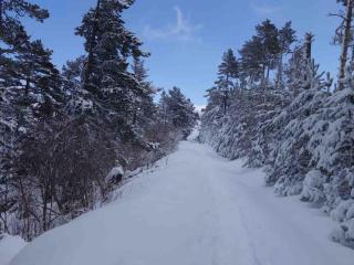 Duplex 8 couchages, vue montagne, jardin cheminée - 2