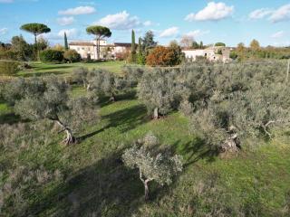Borgo Rinascimento - 9