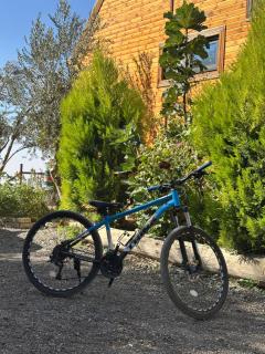 Dana luxury huts - 6