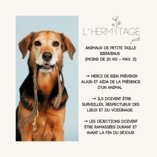 L'HERMITAGE maisonnette lake view beach 5 min walk - 1