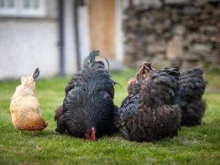 1 Bed in Windermere 95347 - 2