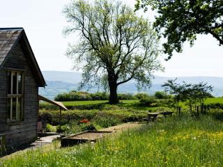 4 Bed in Clyro 92039 - 7