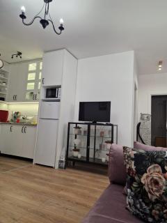 Koviljača apartman Demetrios - 9