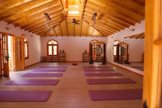 Andesenios Los Esenios de los Andes - 4