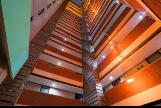 Semillero Zona de Ideas Vivas - 7