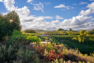 The smallest farm in Africa ELGIN - 7