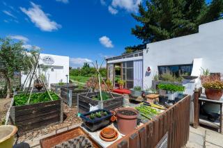 The smallest farm in Africa ELGIN - 1