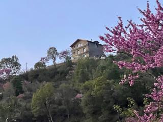 Hans & Hanna's Villa - 0