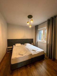 Apartamenty i domki Świerkowe - 1