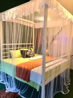 La pinchi " Pinchi's Bed " - 6