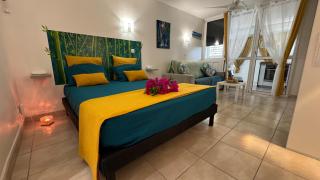 Brin d'ile Anse des Rochers vue mer à 50 m de la plage et piscine - Saint-François - 8