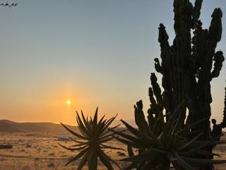 3 ALOES GUESTHOUSE - Uis - 4