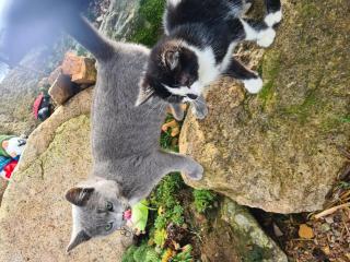 Ferienhaus Wendelhof - 8