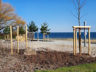 Sanddorn Haus Sanddorn - Whg 25 - 1