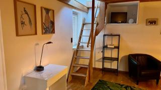 Schöne Ferienwohnungen -bis zu 4 Personen 70qm2- in Oldenburg Eversten - 7