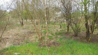 Maison cosy au cœur des Ardennes - 5