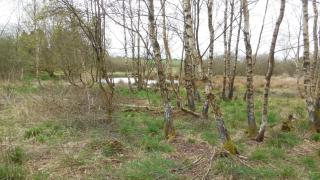 Maison cosy au cœur des Ardennes - 4