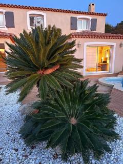 Villa piscine privée superbe Vue Etang Leucate 8JBART580 - 3