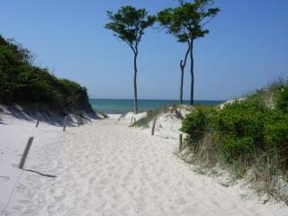 Hafenstrasse 15 Wolkenglanz in Prerow - 1