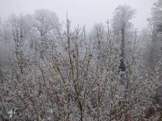 Ferienwohnung Seeblick Nr 1 ,Feldberg Bärental - 3