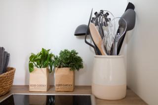 Bismarck 1884 B10 - 2