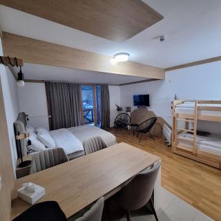 Apartman 452 sa pogledom na stazu Hotel Vučko private host - 7
