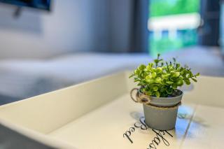 Baltischer Hof Wohnung 20 - 1