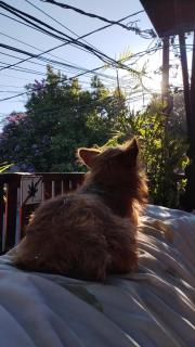 Hostel La petite maison 1 - 6