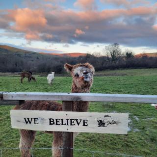 Alpaca cabin-mountain view-hot tub-rural retreat - 7