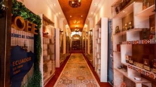 Casa Lucía Hotel by Las Plazas - Quito - 7