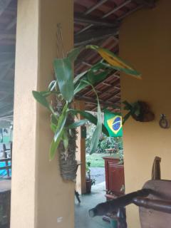 Casa Surpresa Europäisches Flair - 4