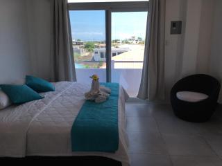 Piqueros patas azules - 1