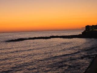 Luxury Apartment - 6