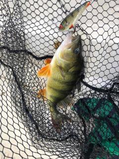 Degersandsvägens stugor - 5