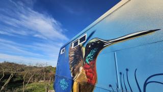 Bird Bus Chile - Descanso- Aventura - Comodidad - 5