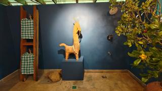 Sunsets and Palm Trees - 9