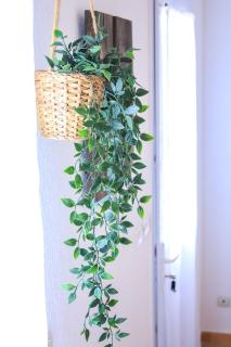 La Maisonnette du Soleil - 1