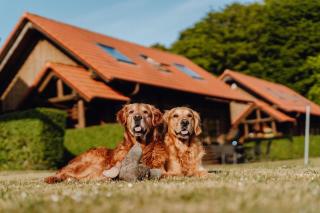 Blockhaus Christoph Columbus - Meerblick - Sassnitz - 8