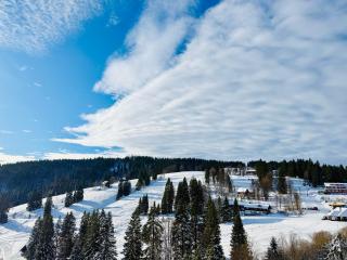 Mitten auf dem Feldberg Panorama Apartment Bergglück - 8