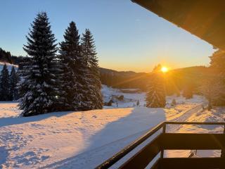 Mitten auf dem Feldberg Panorama Apartment Bergglück - 4