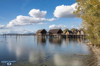 Spatzennest am Bodensee - 7