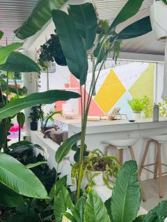 Hotel Por Que No? - 4