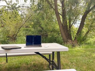 Paradise Creek Cottage - 1