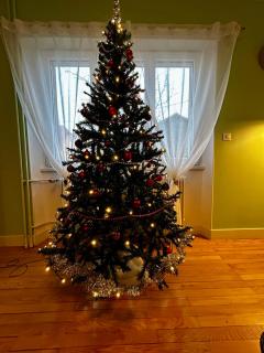 gîte le carthame - 7